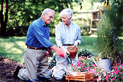 Aged Gardening