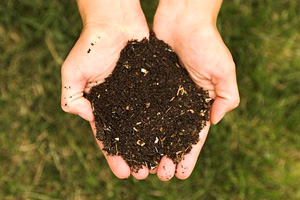 The secret of compost