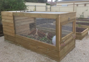 Movable chooks house for garden beds