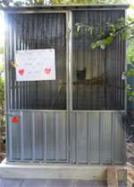 Chook house laying shelf