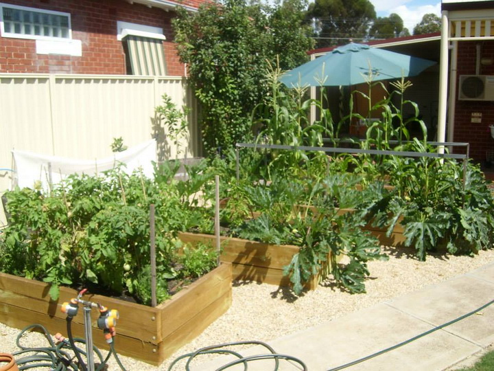 Roger's garden via Vital Veggies